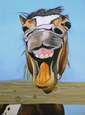 фото морды лошади смотрящей через забор, забавная картинка с лошадью, лошадь,  смешной фон картинки и Фото для бесплатной загрузки