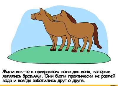 Смешные лошади! Отношение животных к квадрокоптеру - YouTube