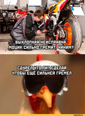 Фотографии смешных ситуаций с мотоциклами. | Автодрайв | Дзен
