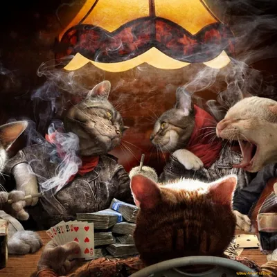 Картинка Юмор собаки играют в покер
