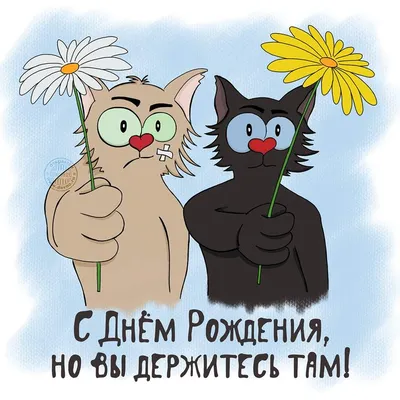 Необычные и чем - то смешные растения, которые встречаются в природе и  наших садах | GardenLife | Дзен