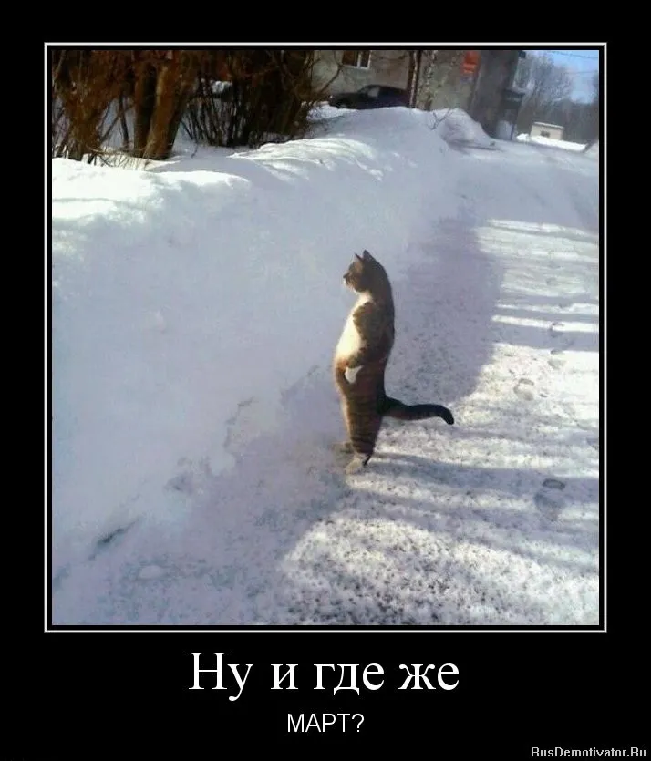 Про весну картинки прикольные