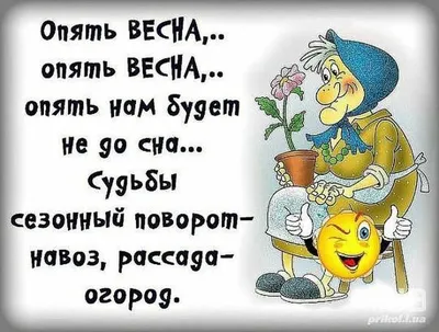 Улыбнемся вместе! Приколы про весну | Смешно, полезно, интересно! | Дзен