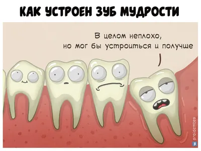 говорящиевещи #зубы #стоматолог #айфон | TikTok