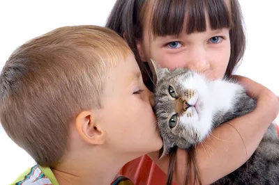 Кошки и дети - Благотворительный фонд \"Варежка\"