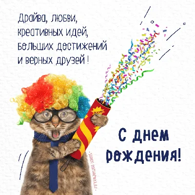 Прикольные открытки \"С Днем Рождения!\" для мужчины (386 шт.)