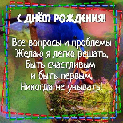 Прикольные открытки \"С Днем Рождения!\" для мужчины (386 шт.)