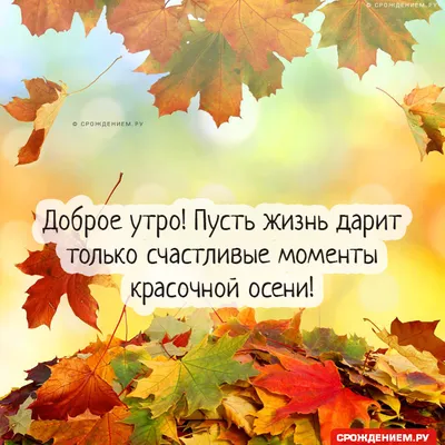 Картинка \"С Добрым осенним утром!\", с листьями клёна и трогательным  пожеланием • Аудио от Путина, голосовые, музыкальные