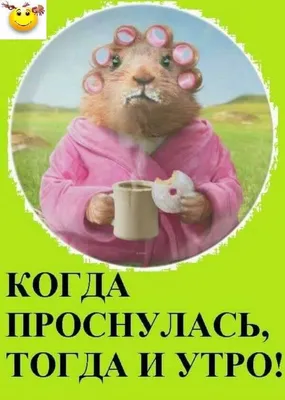 Оксана | Смешные открытки, Смешные смайлики, Рабочий юмор