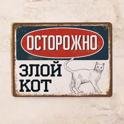 Нарисованный вручную смешной принт с кошкой и надписью один и счастлив.  векторная иллюстрация | Премиум векторы