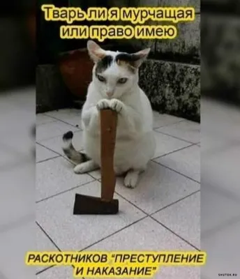 Центральный Дом культуры Покровского района | Новости