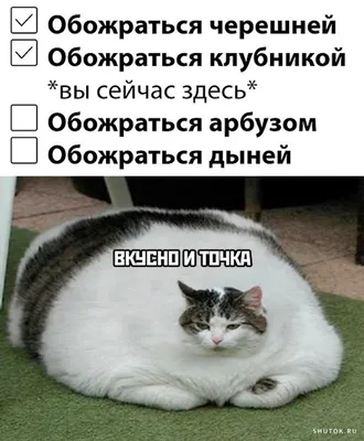 TokaCro Кружка мем с надписью с приколом с котом в подарок чашка