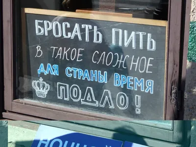 Шары с прикольными надписями купить в Новосибирске недорого с доставкой