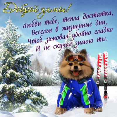 Поздравления с первым днем зимы - открытки и стихи на украинском языке -  «ФАКТЫ»