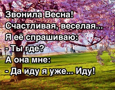 Новые приколы ツ on X: \"#весна #скоровесна #приколы #лайки  https://t.co/ro6Fs4h457\" / X