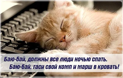 Спокойной ночи картинки: прикольные, угарные, смешные, забавные (фото) -  pictx.ru