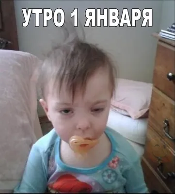 прикольные видео я утром 1января｜Поиск в TikTok