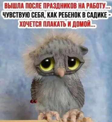 Три комнаты - Я решил, что мне просто необходимо поспать подольше. Чего и  вам советую!😺 Поэтому поитькофеечком и угощать вкусностями буду 2, 3, 4 и  5 января с 10:00 утра. ☕🍰🍩 Всех мур-мяу!🧡 | Facebook