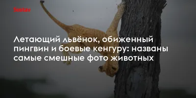 https://journal.tinkoff.ru/diary-bezrabotnaya-murino-3/