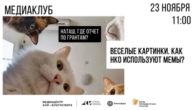 Наши Любимые Забавные Смешные Милые Животные | ВКонтакте