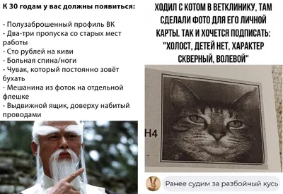 Самые смешные животные | ВКонтакте
