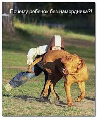 Смешные картинки ❘ 23 фото от 28 декабря 2023 | Екабу.ру - развлекательный  портал