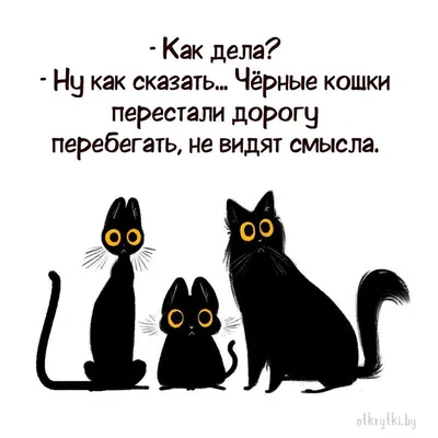 Лучшие смешные картинки с надписями, анекдоты и приколы - Ржы! | Смешно,  Смешные морды животных, Веселые картинки