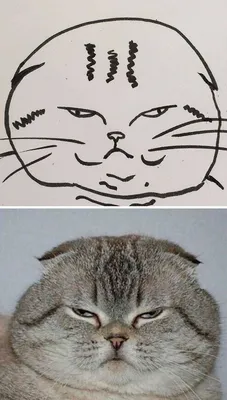 смешные кошки 8-битная иллюстрация стиля. рисунок в пикселах. Иллюстрация  вектора - иллюстрации насчитывающей кот, мемы: 249826673