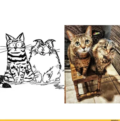 Пять Смешные Кошки На Бежевом Фоне Клипарты, SVG, векторы, и Набор  Иллюстраций Без Оплаты Отчислений. Image 15135007