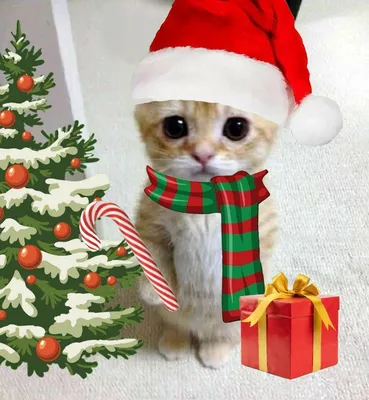 Новогодний котик мем | Рождественские картины, Художественные узоры,  Винтажные неоновые вывески