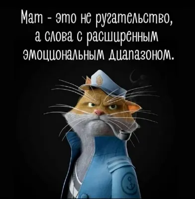 Надписи на толстовках для девушек и мужчин – варианты текста на русском,  английском языках