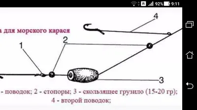 Донка для морского карася, ловля без поплавка | Фото заметки из моей жизни  в Крым | Дзен