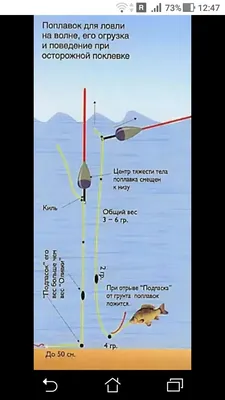 Поплавок для ловли на волне, поплавок для ловли карася | Фото заметки из  моей жизни в Крым | Дзен