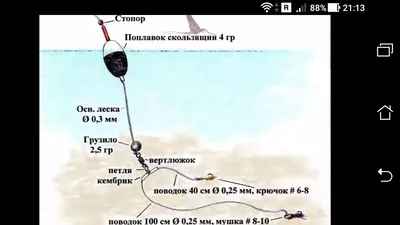 Набор каракули картины костей рыбы Иллюстрация вектора - иллюстрации  насчитывающей разнообразность, океан: 213455991