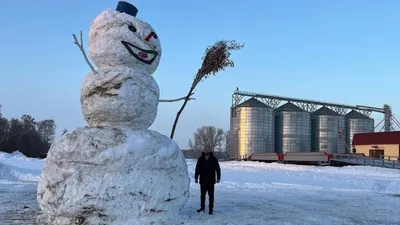 СНЕГОВИК (цвет розовый с серым) в Москве: купить по цене 591 руб.  новогодний подарок с доставкой в интернет-магазине