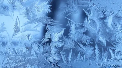 зима красивые Hd обои для рабочего стола 1567x2048, зимний пейзаж, Hd  фотография фото, облако фон картинки и Фото для бесплатной загрузки
