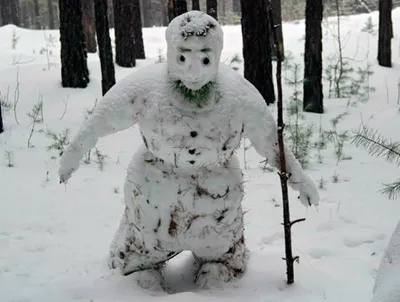 Снежный человек (йети): реальность и вымысел. | Живем с интересом | Дзен