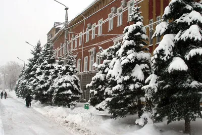 Дневной, снежный город... - Информационный портал Приморско-Ахтарского  района