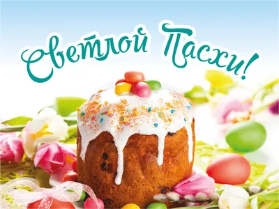 Светлой Пасхи, с Пасхой, Христос воскрес | Happy easter pictures  inspiration, Cake vector, Easter cakes