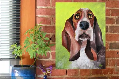 Плюшевая собака Бассет-хаунд The Basset Hound Dog (ID#1553933501), цена:  880 ₴, купить на Prom.ua