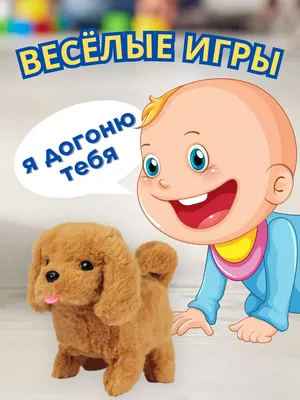 Картинки для детей. Собака