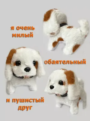 Семья мультфильма книги цвета детей на природе Собака мамы и дети щенят  Стоковое Фото - изображение насчитывающей конструкция, линии: 143621790