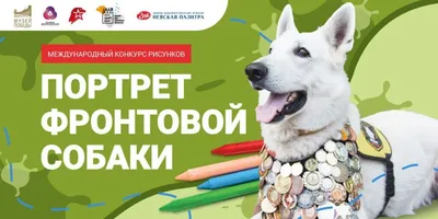 Зверским образом. Что важнее – жизни детей или готовых их растерзать собак?  | Безопасность | Общество | Аргументы и Факты