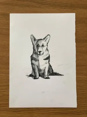 Карандашом собака» — создано в Шедевруме