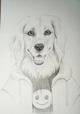 как рисовать шерсть у собаки карандашом