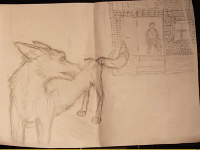 Рисунок собаки карандашом #арт #карандаш #собака #анималист | Wildlife  artists, Sketch videos, Sketches
