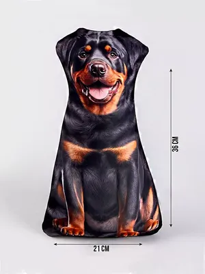 Картина собака Ротвейлер в интернет-магазине Ярмарка Мастеров по цене 5525  ₽ – L6DJIRU | Картины, Москва - доставка по России