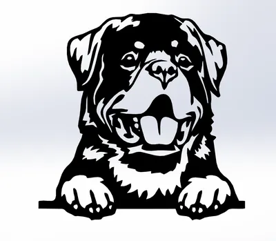 Картина по номерам Y-161 \"Устрашающий ротвейлер. Собака\" 40х60 - купить с  доставкой по выгодным ценам в интернет-магазине OZON (472531838)
