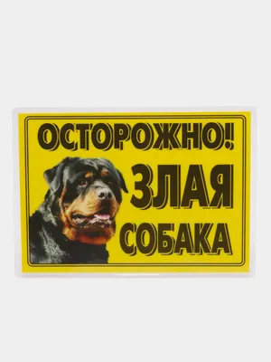 Воронежец натравил ротвейлера на соседскую собаку: какое наказание ему  грозит — Интернет-канал «TV Губерния»