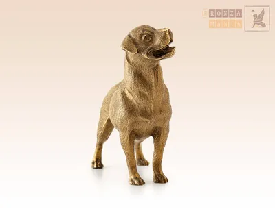 Собака. Ротвейлер | Dogs, Animals